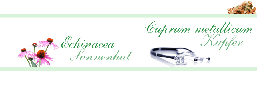 Freigestellte Fotos von Echinaccea, Kupfer und einem Stethoskop auf weißen Hintergrund